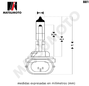 881 12V STD MATSUMOTO