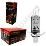 H1 12V STD