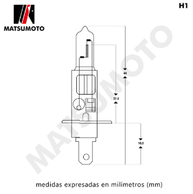 H1 12V STD