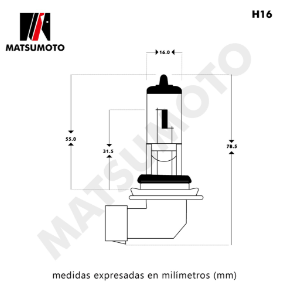 AMPOLLETA H16 MATSUMOTO
