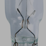 12V 21W T15 COLA PEZ MEDIANA FOCUS