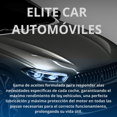 ELITE  CAR 5W30 C2/C3 GOODYEAR